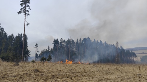 size4 17744556990599 152 foto u&nbsp;vyskytne hori les hasici odhaduji skodu na pet milionu korun kopie