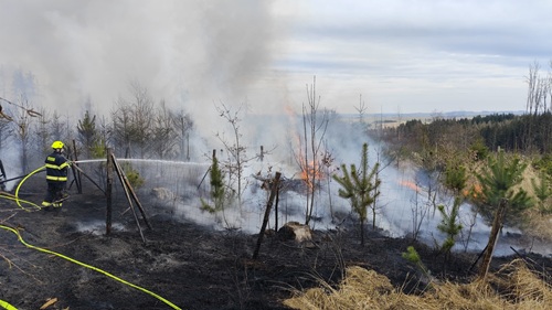 size4 17744557082221 152 foto u&nbsp;vyskytne hori les hasici odhaduji skodu na pet milionu korun kopie
